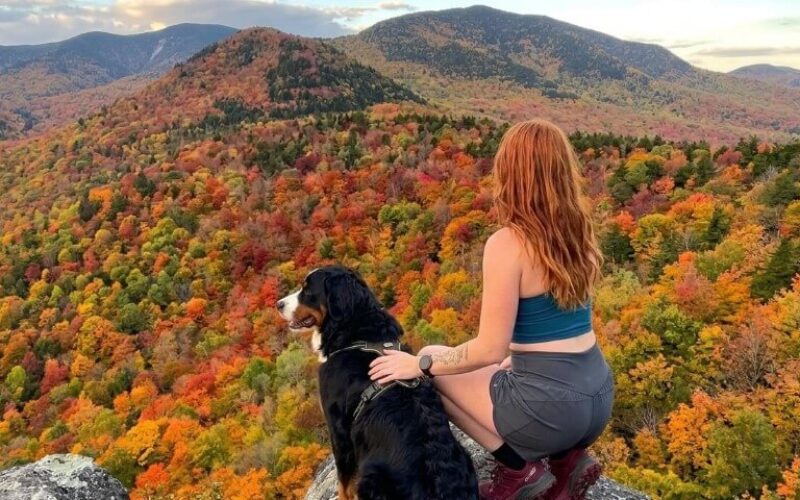 Massachusetts travel careers