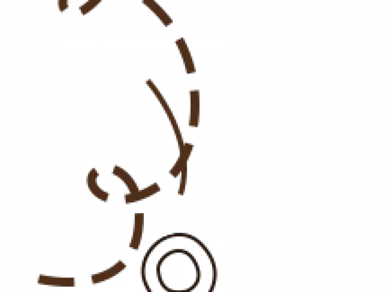 shape8